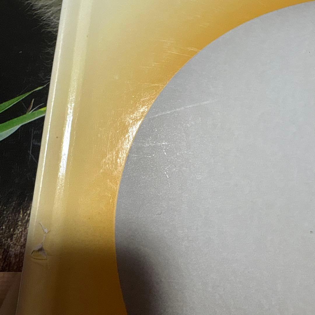 最終値下げ　キンダーブックしぜん　37冊