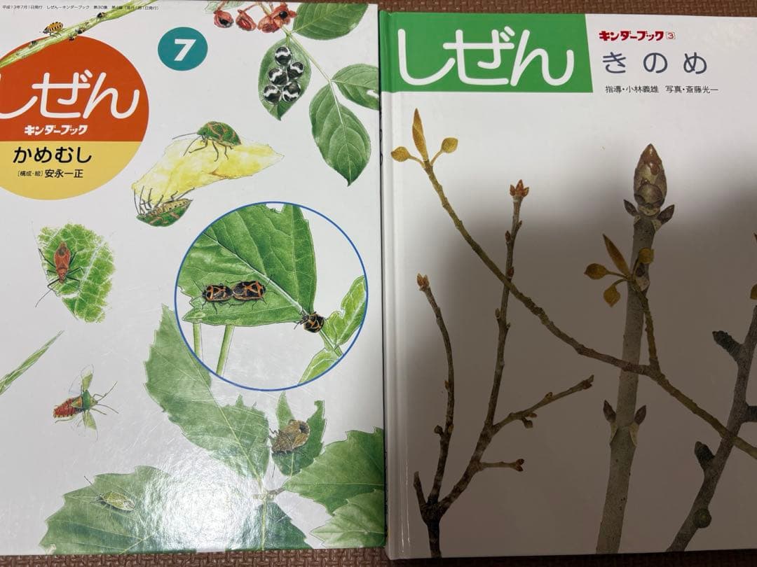 最終値下げ　キンダーブックしぜん　37冊