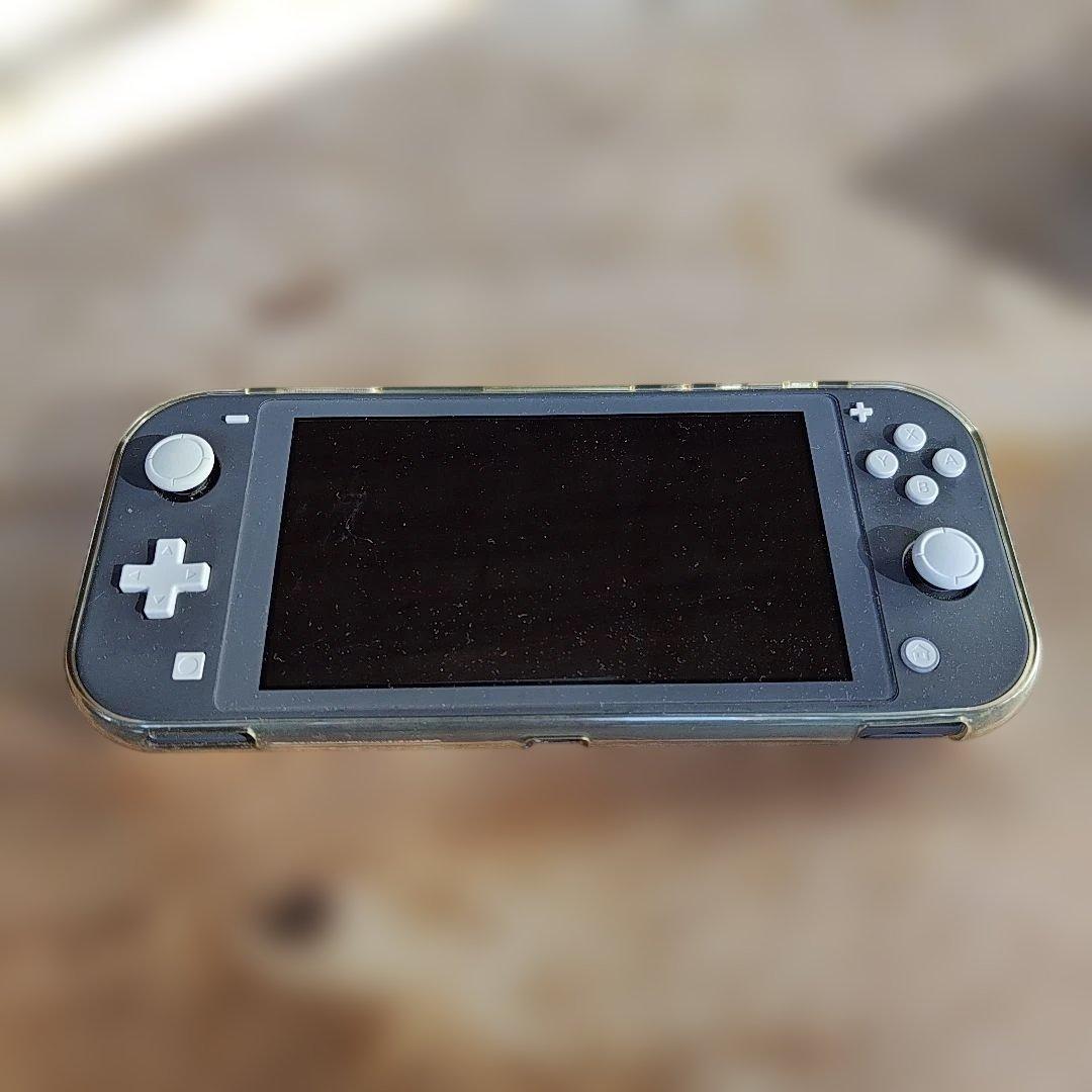 Nintendo Switch Lite(本体のみ)