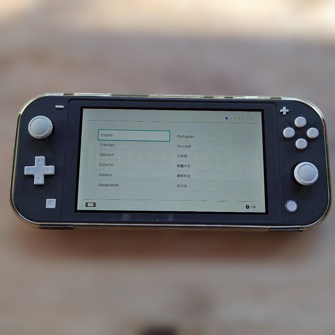 Nintendo Switch Lite(本体のみ)