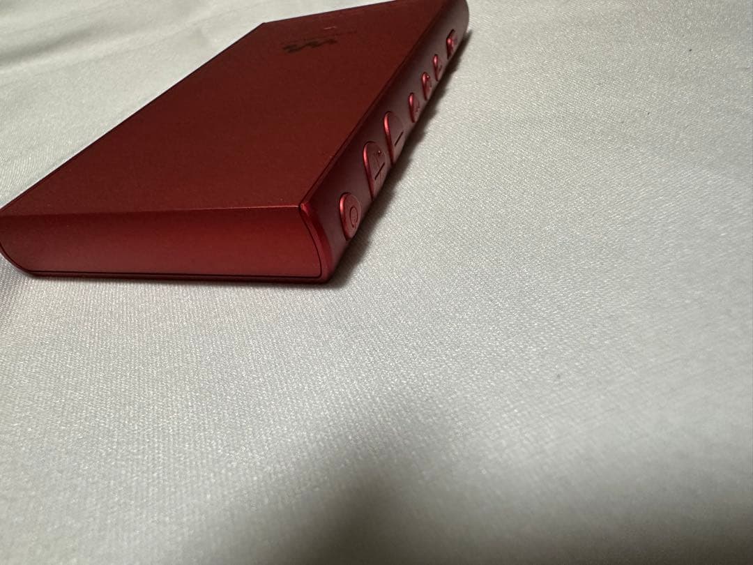 SONY ウォークマン(WALKMAN)NW-A106 ケース付