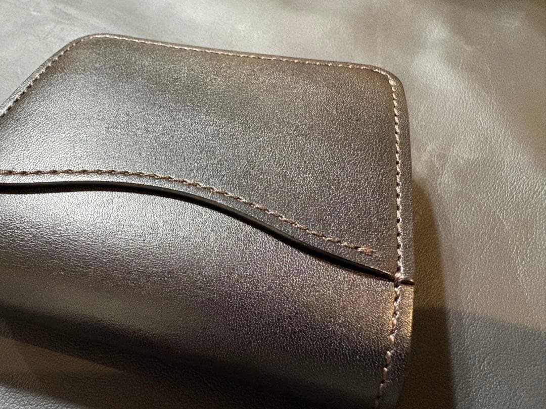 カーサ　フルグレインブライドルレザー　ブラック　ワイルドスワンズ