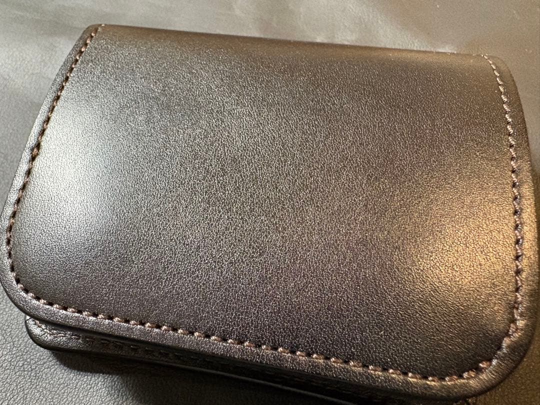 カーサ　フルグレインブライドルレザー　ブラック　ワイルドスワンズ