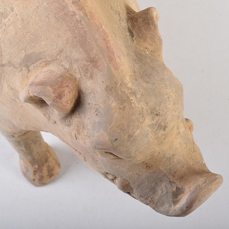 cafe-abakan　中国　加彩　豚俑　陶俑　置物　N　8950AE