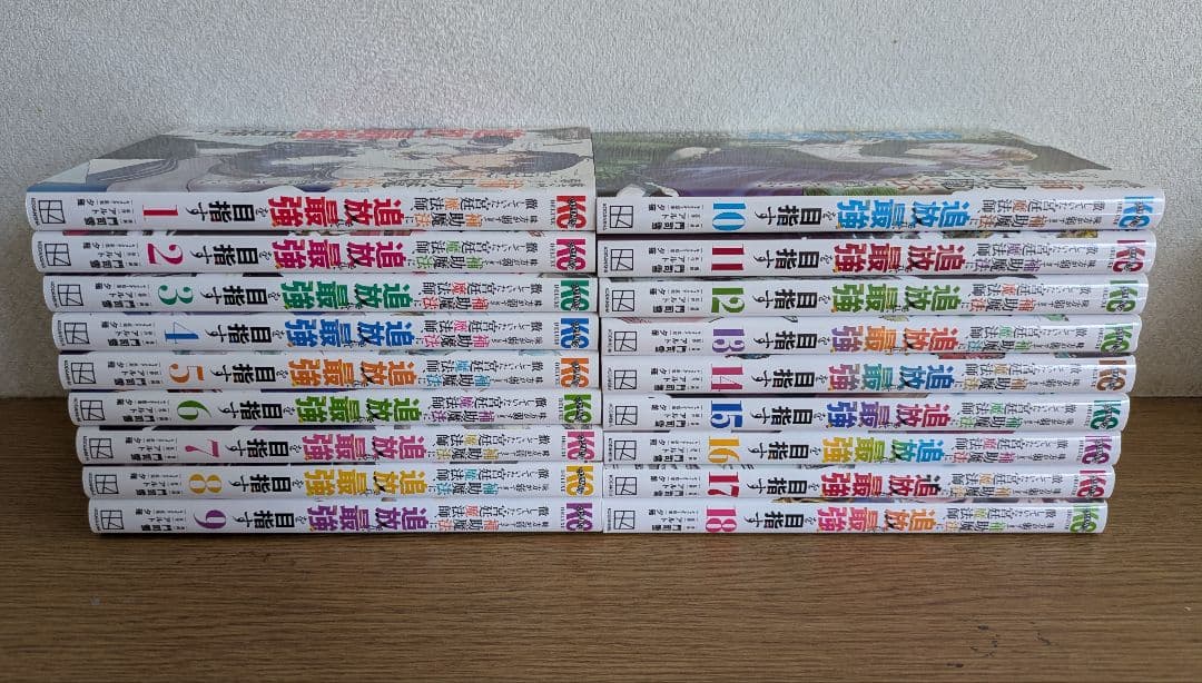 味方が弱すぎて補助魔法に徹していた　 宮廷魔法師 全巻セット　送料無料