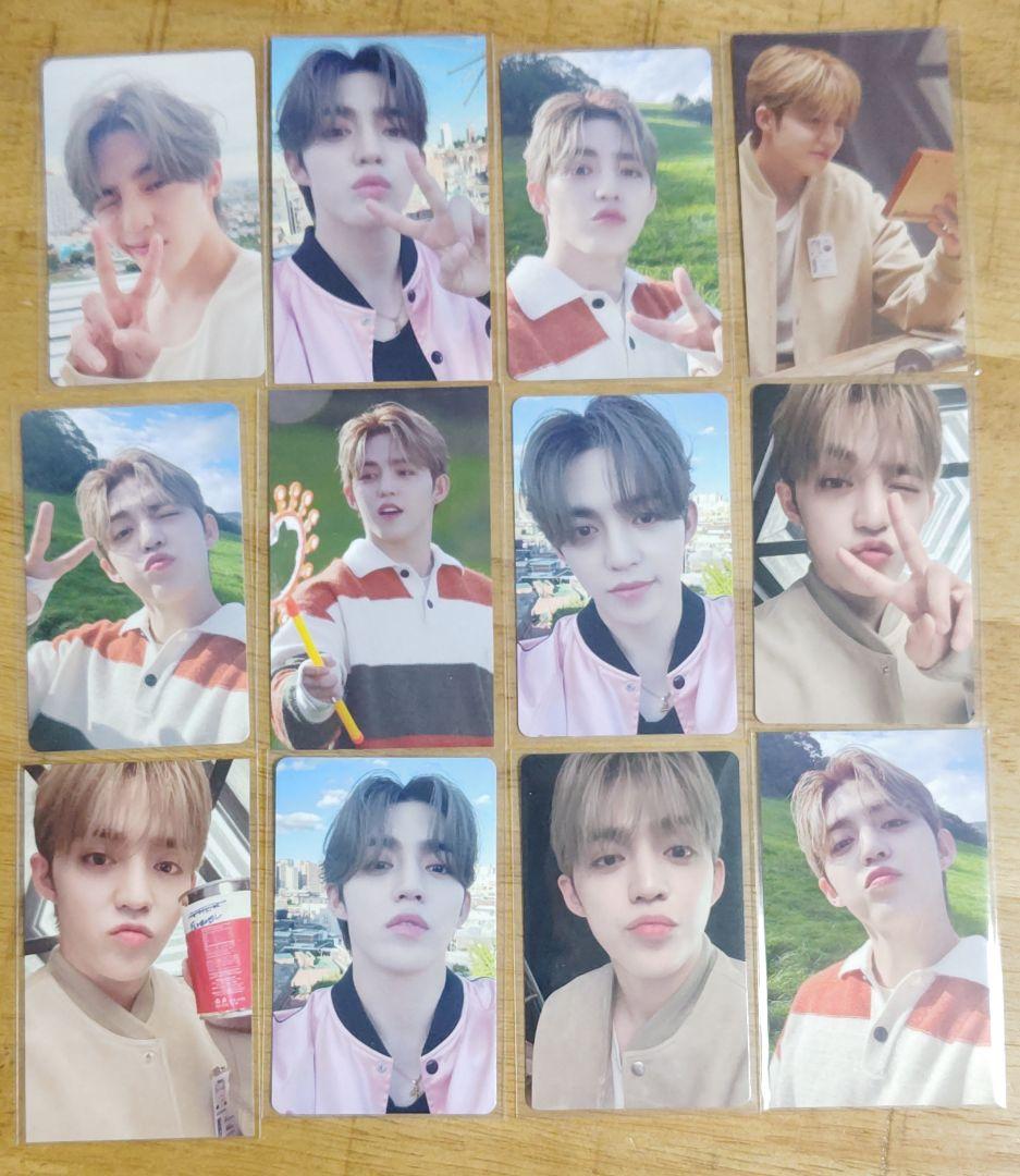 SEVENTEEN エスクプス STF 消費期限 会場限定 トレカ 12枚