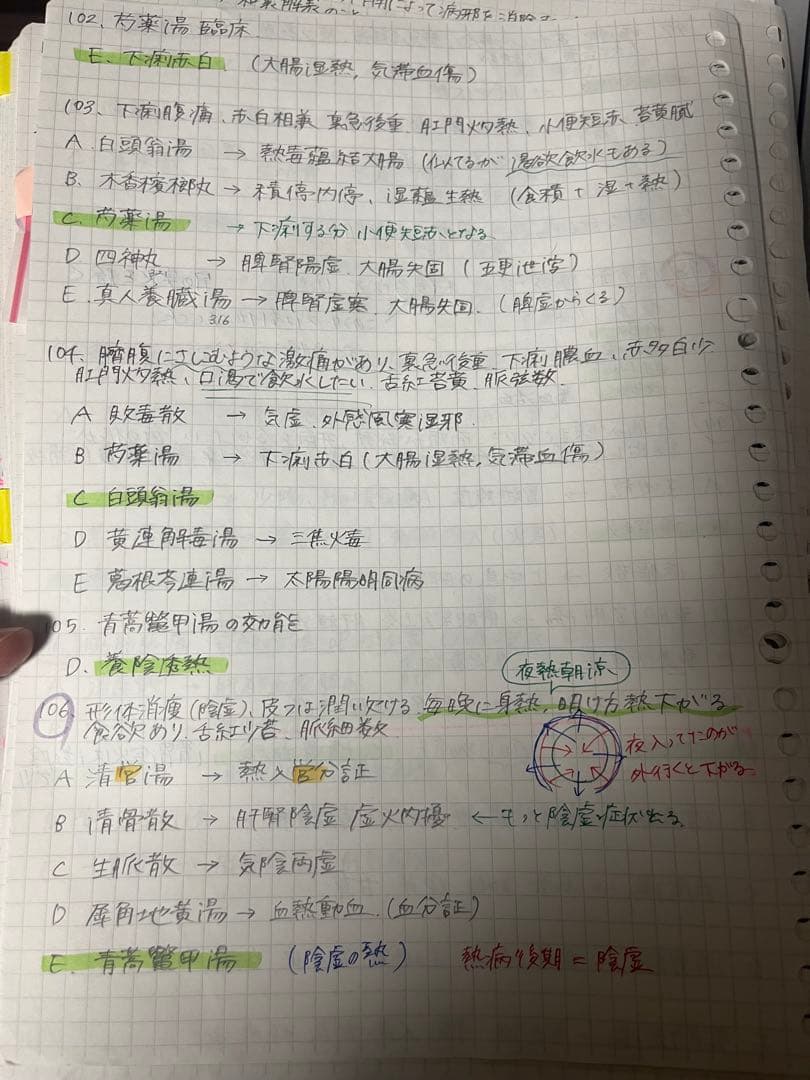 復習大網 国際中医師標準試験 2011年版