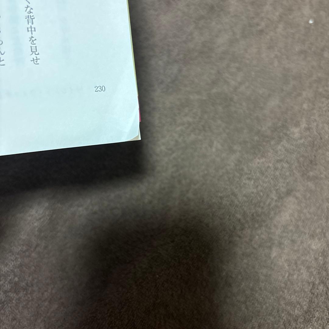 サイレント・ウィッチ 全巻 1-10巻 + 関連本4冊 アニメ化 全初版 希少