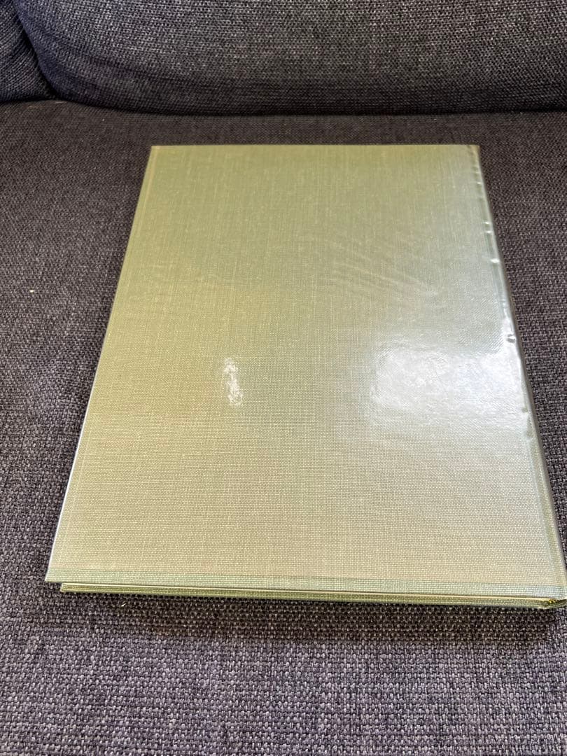 医学図譜集 心臓編【Frank H. Netter】解剖学専門書 医学イラスト本