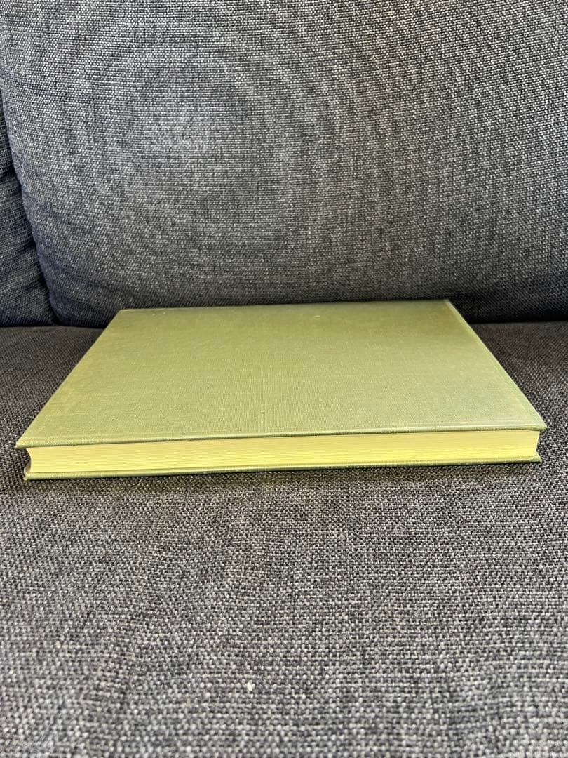 医学図譜集 心臓編【Frank H. Netter】解剖学専門書 医学イラスト本