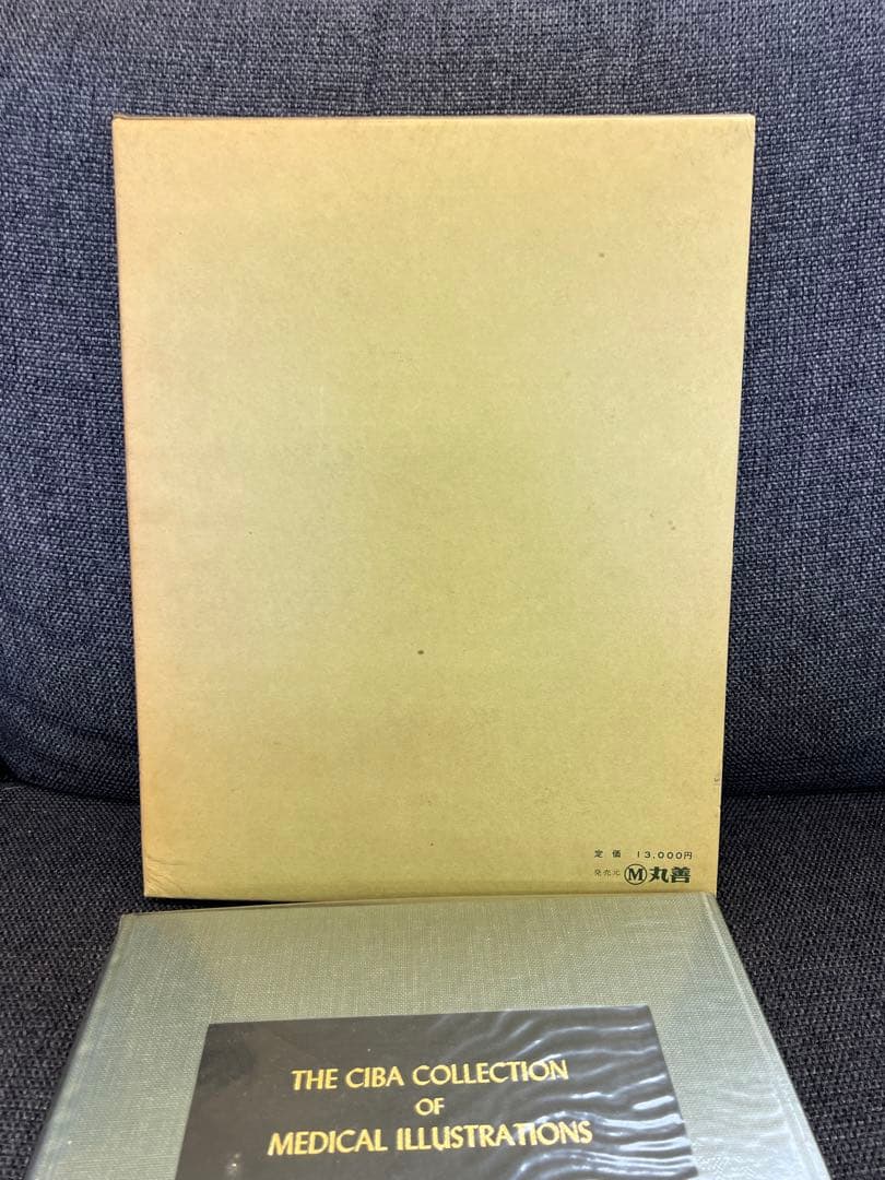 医学図譜集 心臓編【Frank H. Netter】解剖学専門書 医学イラスト本