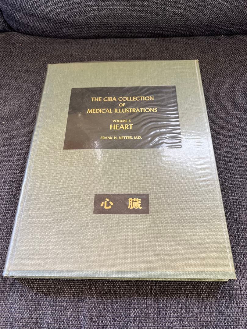 医学図譜集 心臓編【Frank H. Netter】解剖学専門書 医学イラスト本
