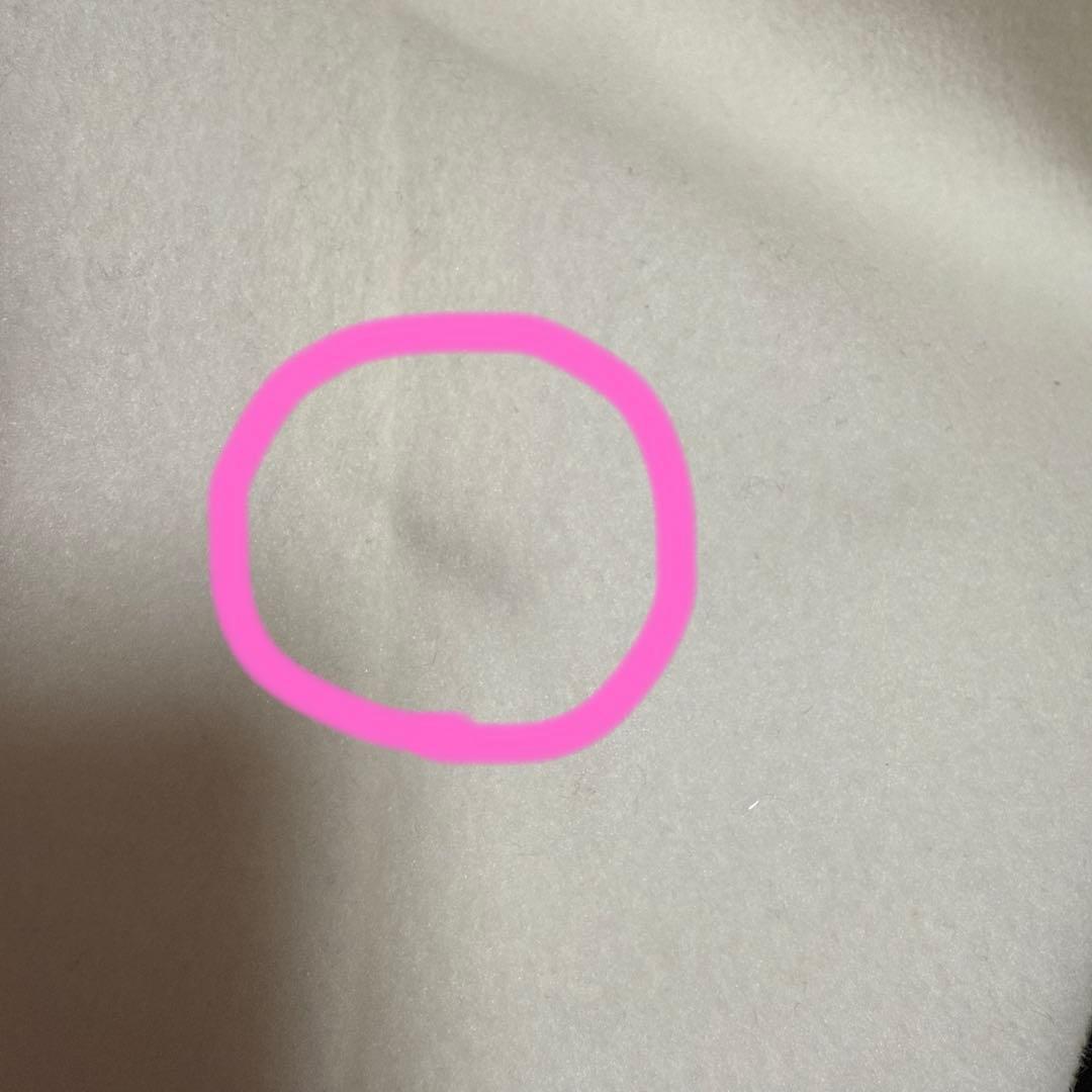 evelyn ビジューコート 2025 Mサイズ