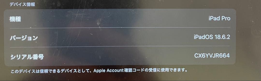 【早い者勝ち】iPad Pro11シルバー本体のみ第4世代　128GB