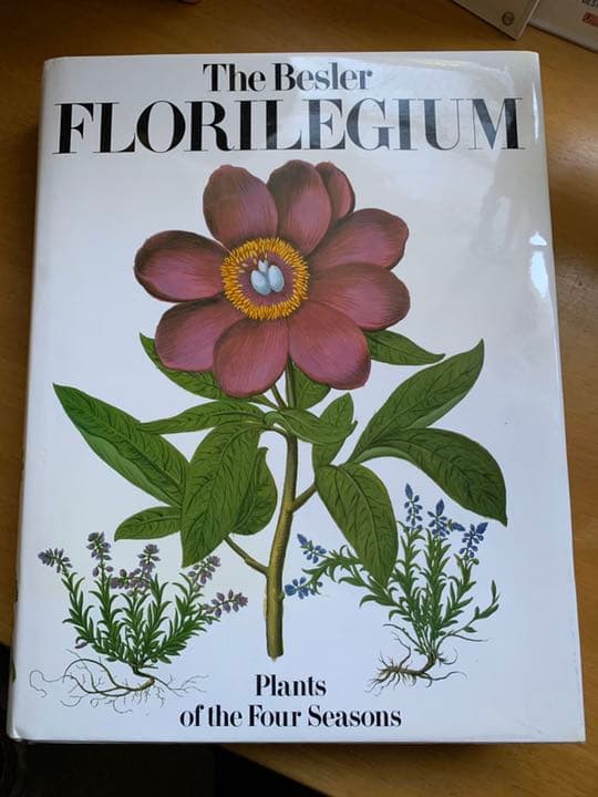 美しい1613年の植物画集'Besler Florilegium'