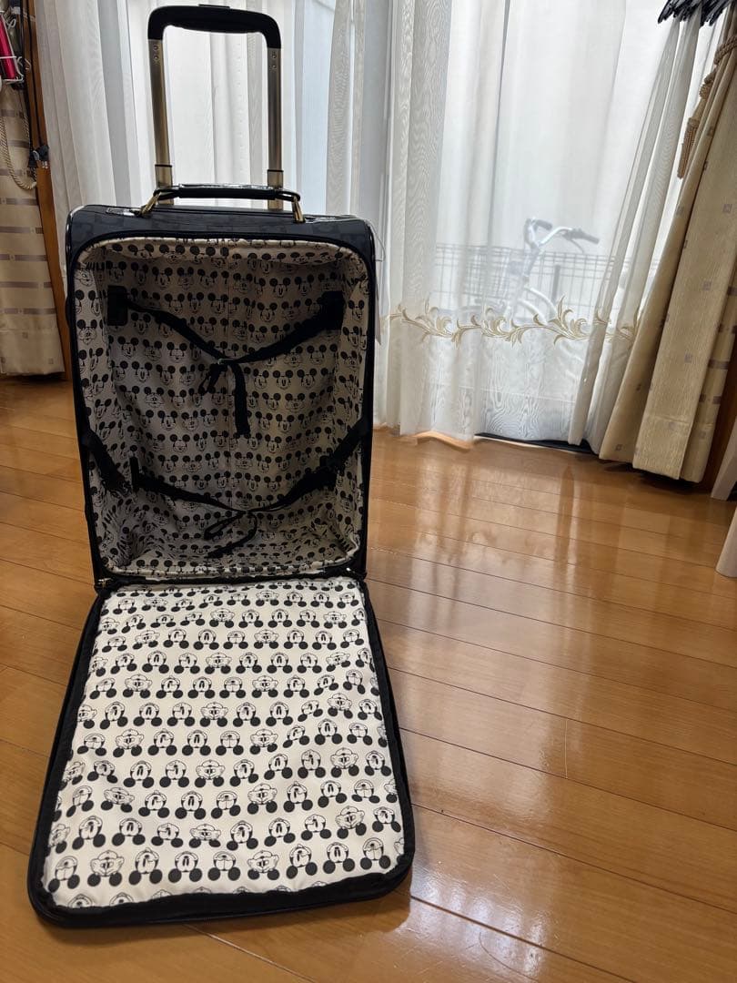 新品⭐️キャリーバッグSサイズ30ℓ