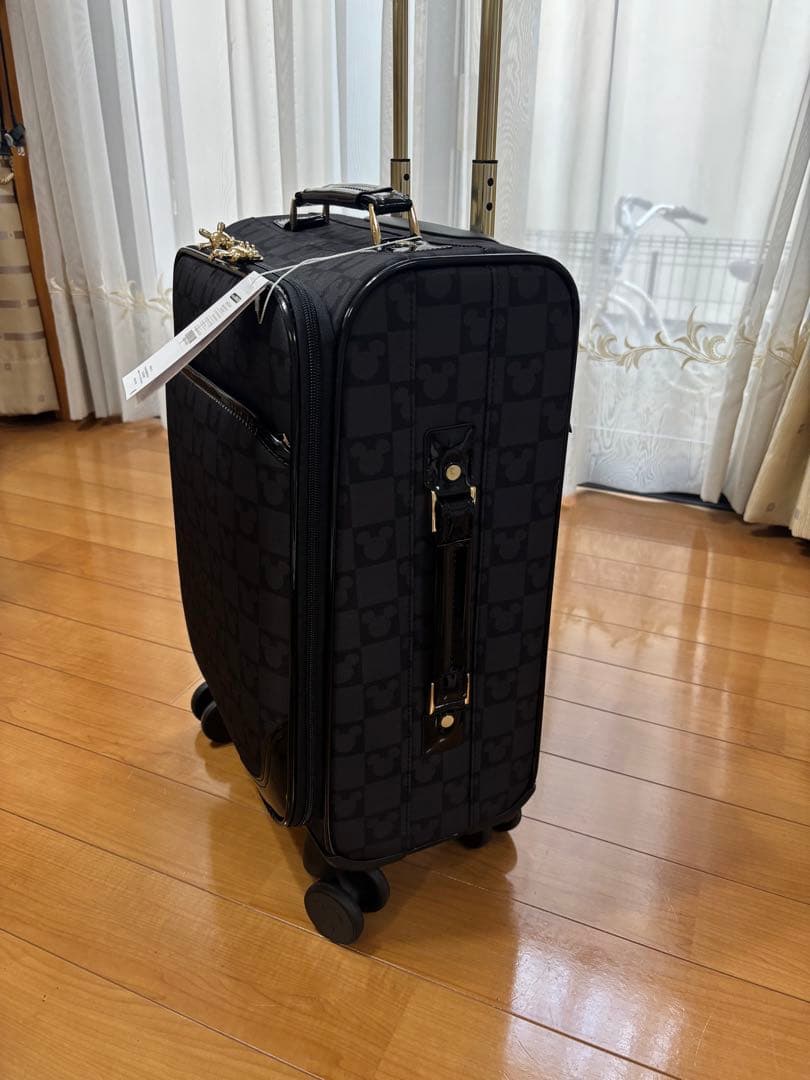 新品⭐️キャリーバッグSサイズ30ℓ