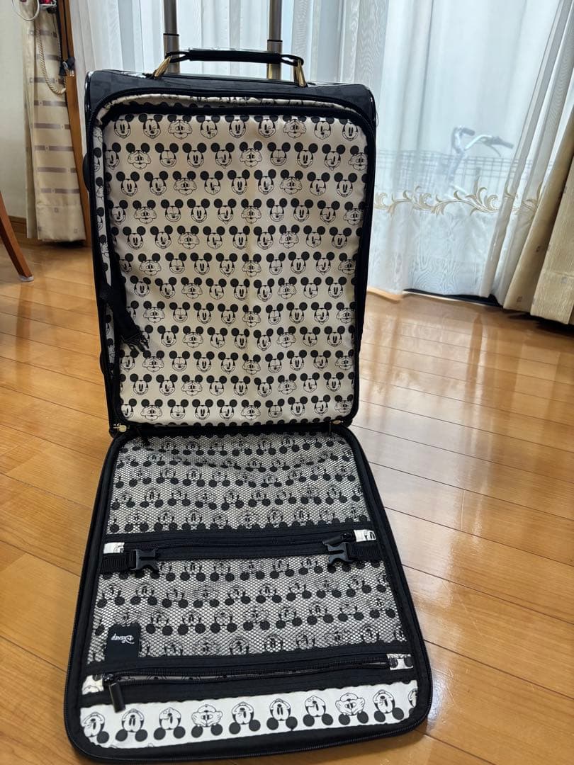 新品⭐️キャリーバッグSサイズ30ℓ