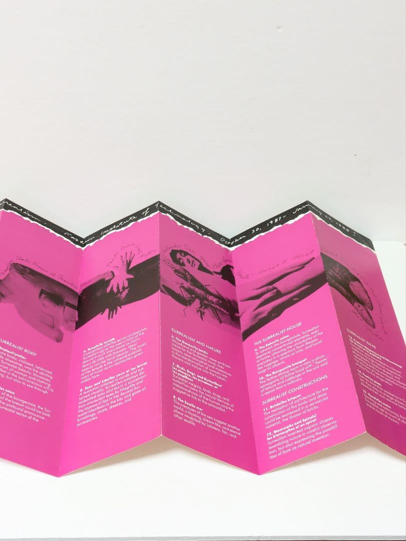 【英語版】「ファッションとシュルレアリスム」リチャード・マーティン 著　洋書