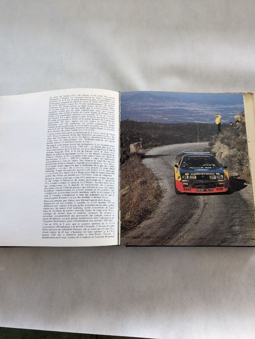 Dominique Pascal著　ALPINE