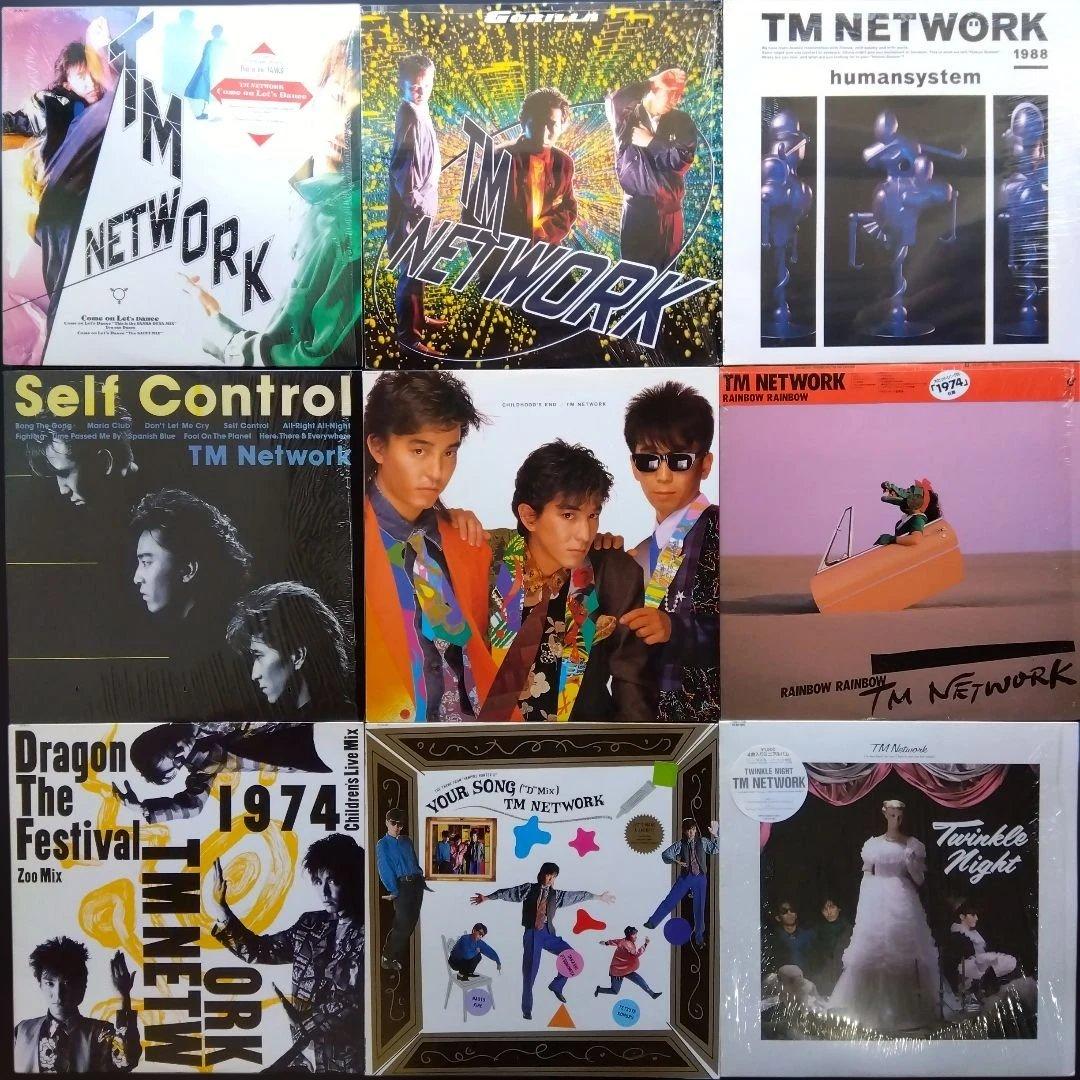 TM NETWORK LPレコードコレクション9枚