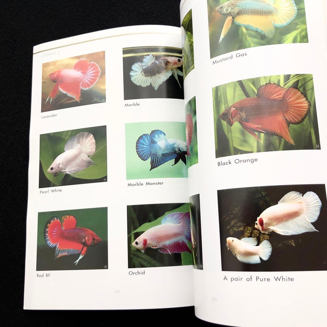 淡水熱帯魚 ベタ 写真集「AMAZING THAI BETTA」ショーベタ