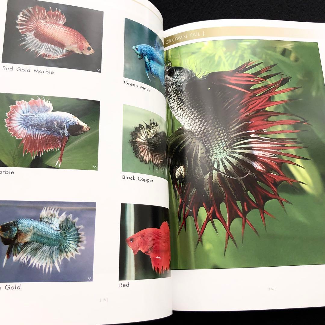 淡水熱帯魚 ベタ 写真集「AMAZING THAI BETTA」ショーベタ