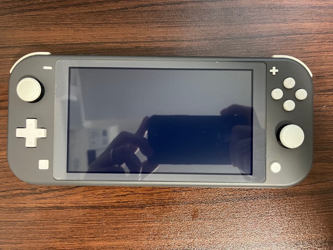 【充電器有】2019年製 Nintendo Switch lite グレー本体