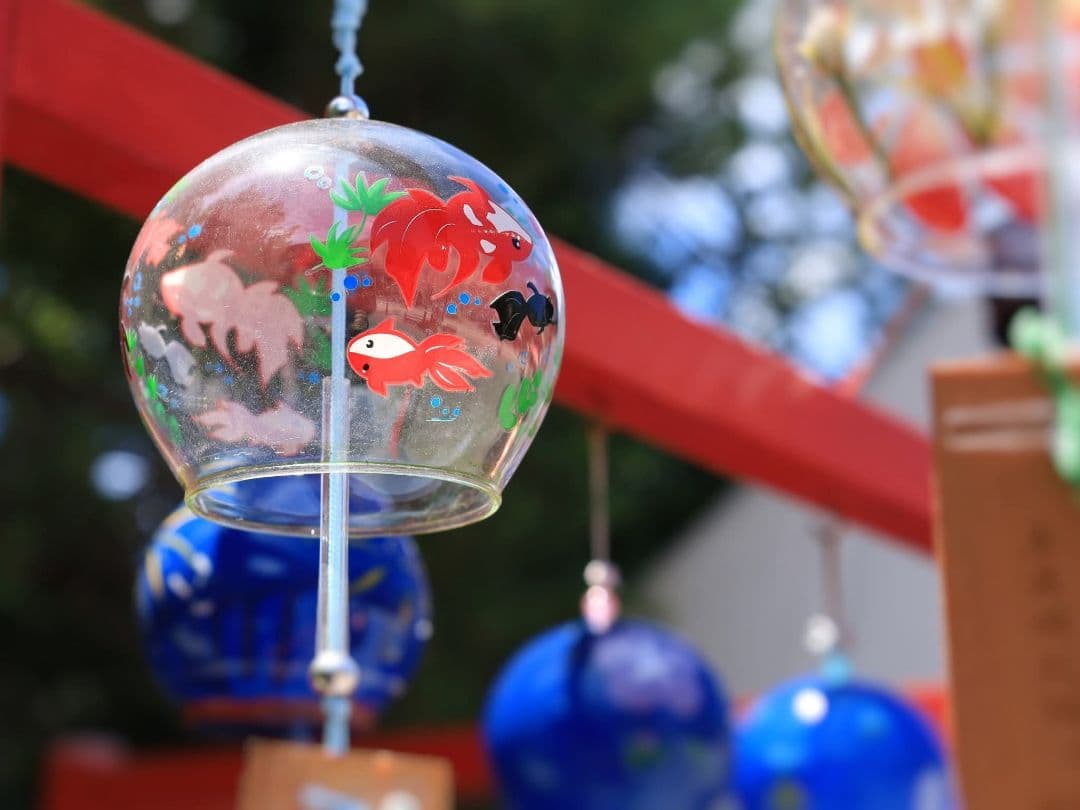 CANON FIX EF50 mm F1.8 STM　キヤノン