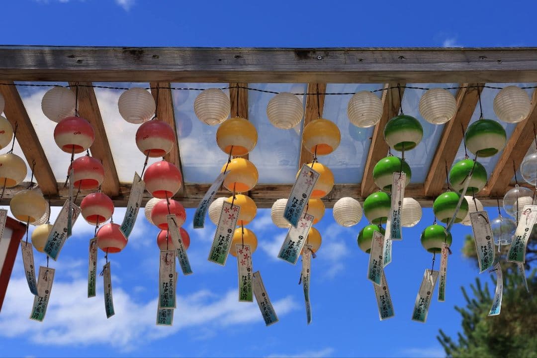 CANON FIX EF50 mm F1.8 STM　キヤノン