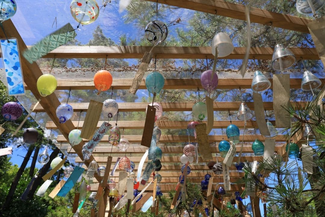 CANON FIX EF50 mm F1.8 STM　キヤノン