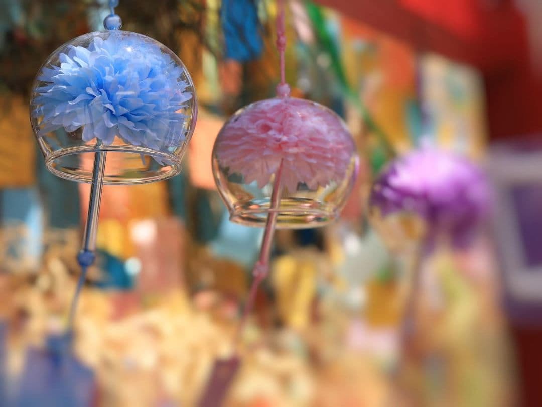 CANON FIX EF50 mm F1.8 STM　キヤノン