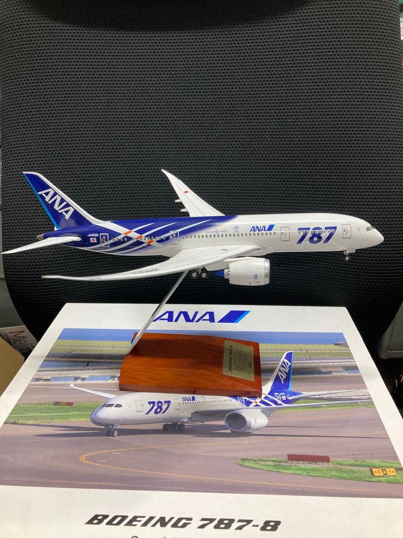 ANA Boeing 787 - 8 特別塗装機 1/200