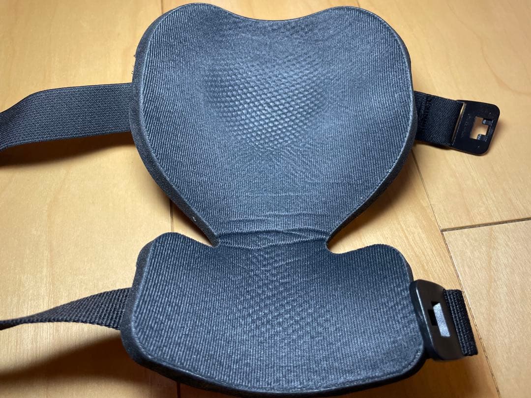 実物　Arc'teryx(アークテリクス)　ニーパッド　黒