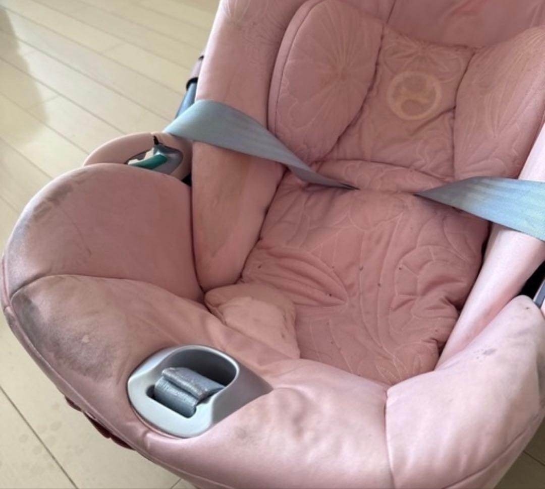 クラウド Z2i-Size FE シンプリーフラワーズ サイベックス