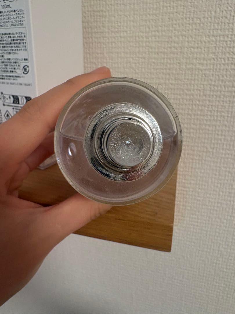 マルジェラ　レプリカ　レイジーサンデーモーニング　オードトワレ　100ml