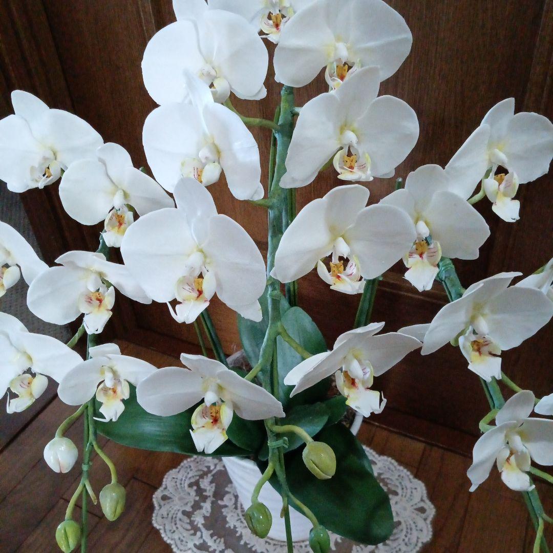 専用 ホワイト胡蝶蘭3本立ち クレイフラワー