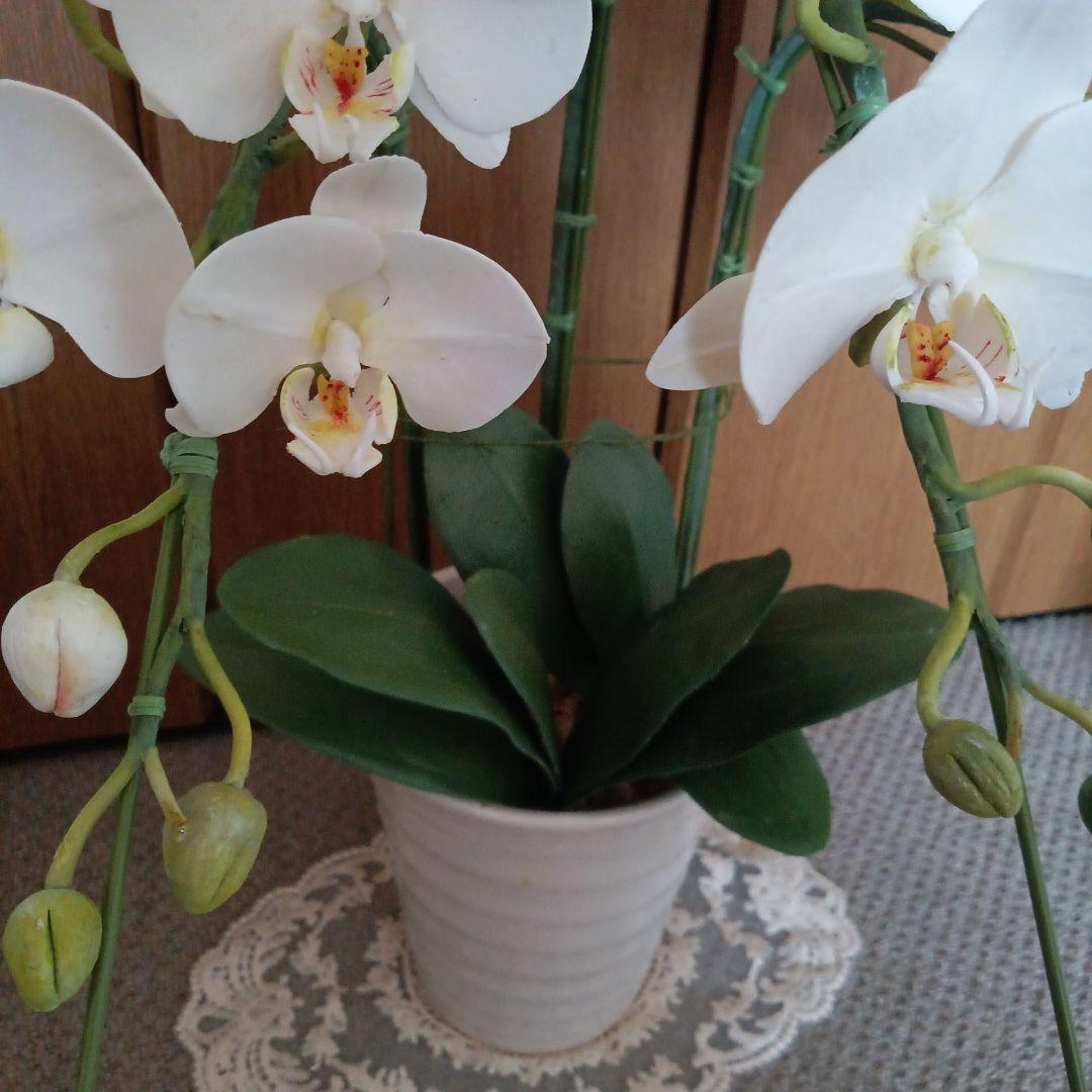 専用 ホワイト胡蝶蘭3本立ち クレイフラワー