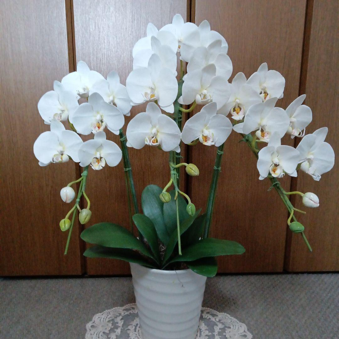 専用 ホワイト胡蝶蘭3本立ち クレイフラワー