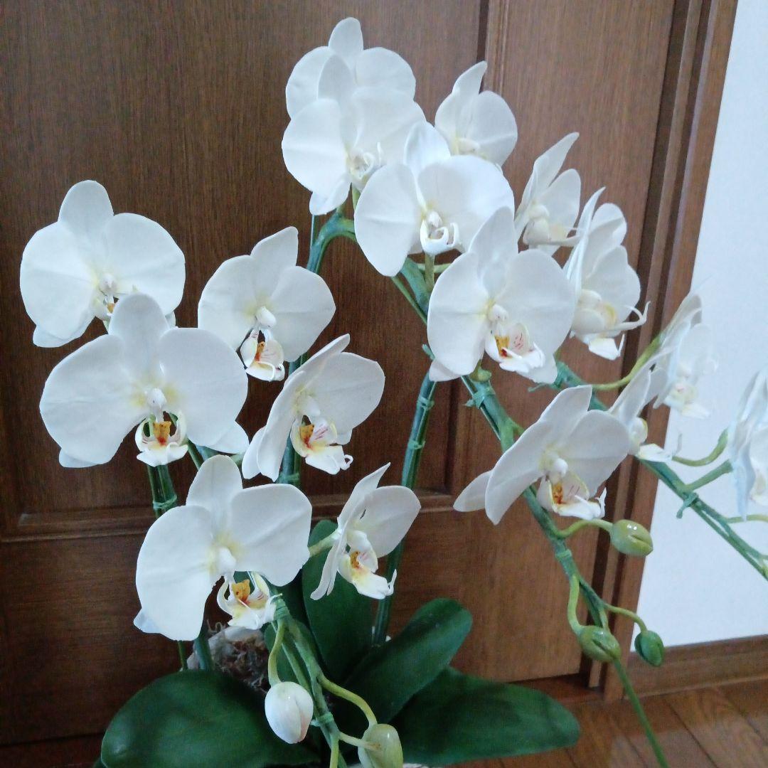 専用 ホワイト胡蝶蘭3本立ち クレイフラワー