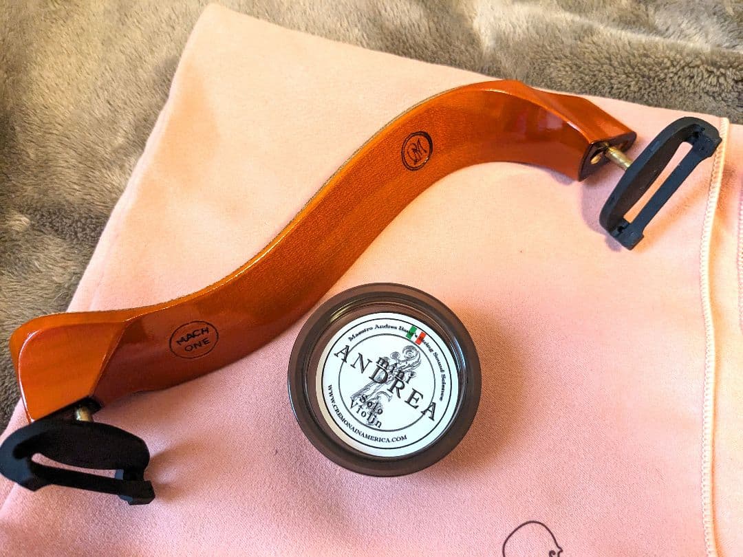 Roderich Paesold 803 4/4 バイオリン セット