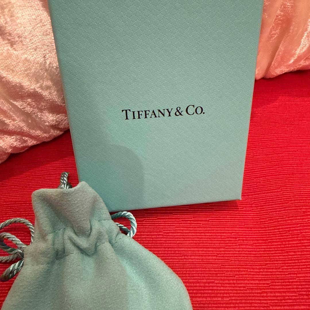 Tiffany & Co. ブルー ダブル ハート ペンダント シルバーミニ