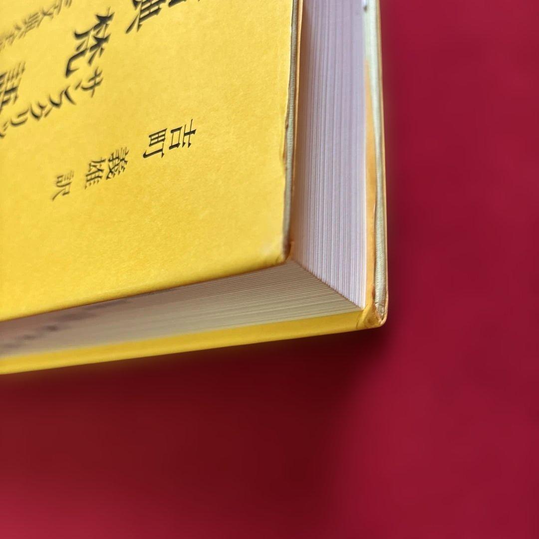 『古典梵語大文法：インド・パーニニ文典全訳』吉町義雄　泰流社　廃盤