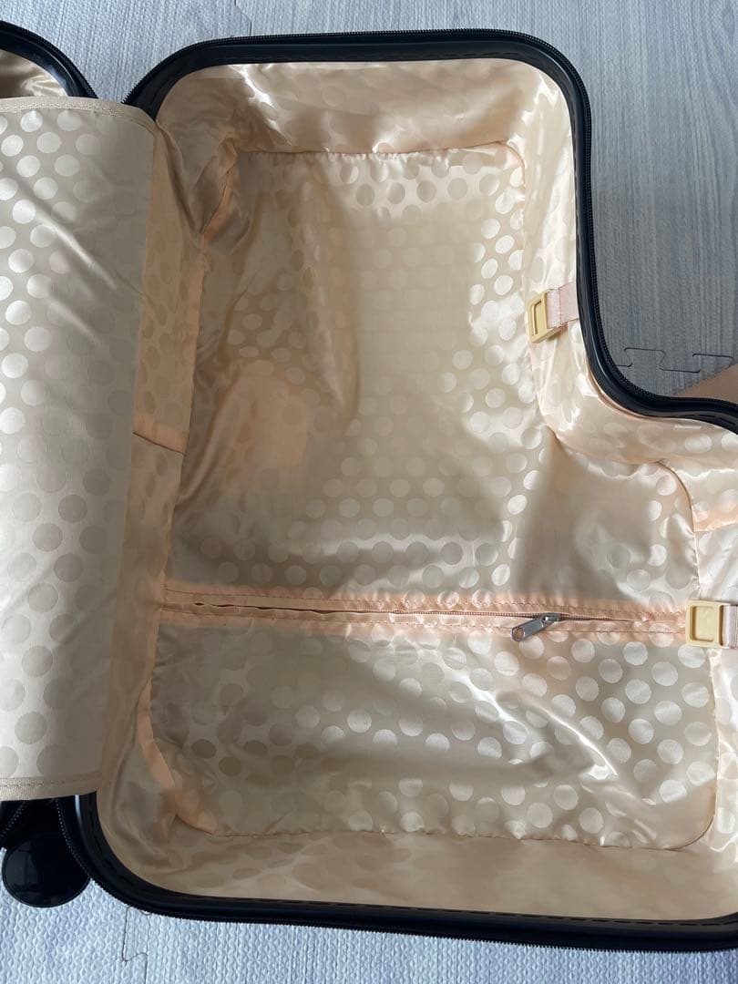 キッズトラベル　キャリーmini