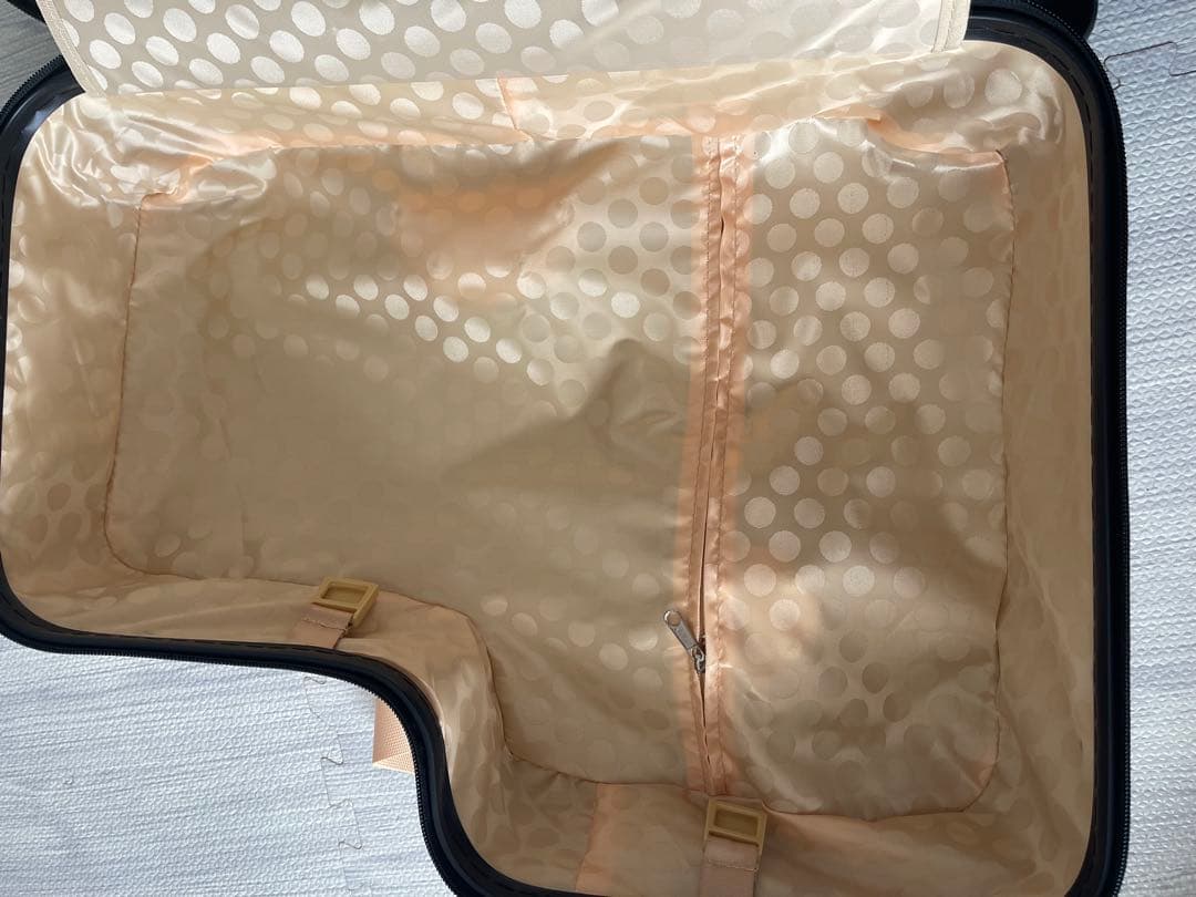 キッズトラベル　キャリーmini