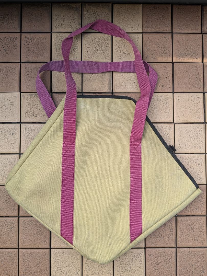 スノーピーク  Peak 焚火台 M 廃盤ケース 炭火床 トライポッド