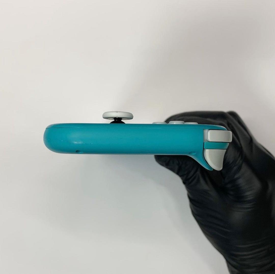 Nintendo Switch Lite 本体 動作品 2019