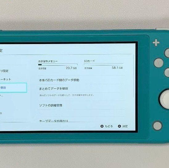 Nintendo Switch Lite 本体 動作品 2019