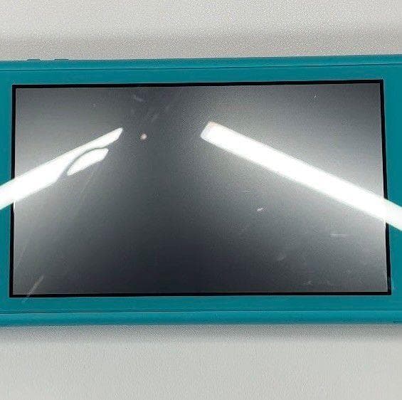 Nintendo Switch Lite 本体 動作品 2019