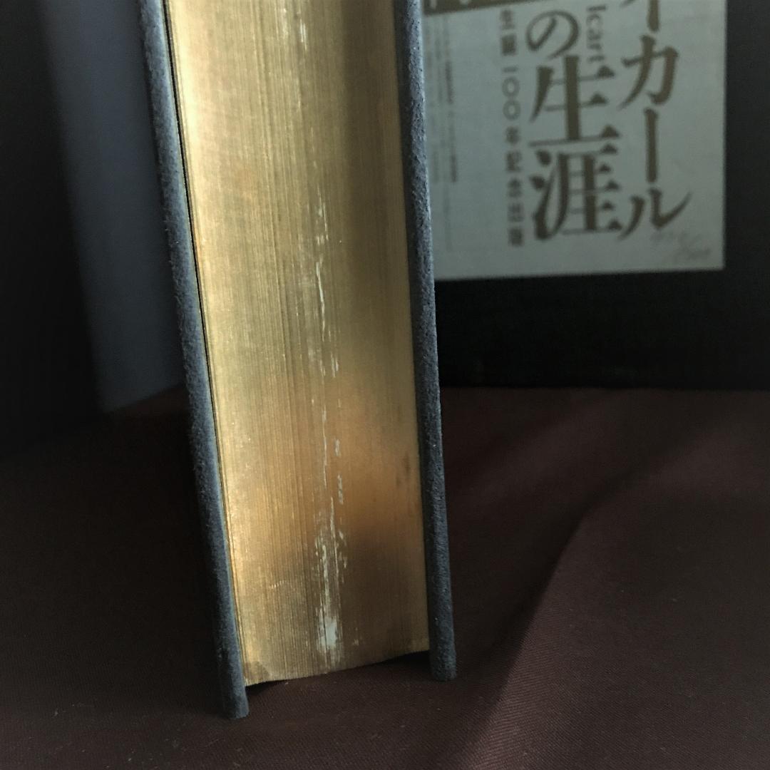 ルイ・イカールの生涯　　ー生誕100年記念出版－